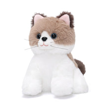 Load image into Gallery viewer, Dress Up Kitten Playset