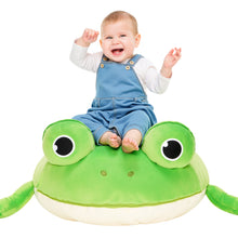 Load image into Gallery viewer, Ball Shaped Frog Children&#39;s Toy Storage Bean Bag Chair Cover