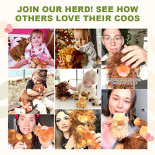 Load image into Gallery viewer, Scottish Highland Cow Cattle Stuffed Animal with 4 Babies Inside