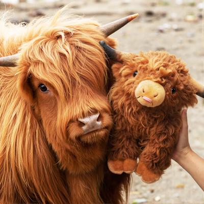 Scottish Highland Cow Cattle Plush Stuffed Animal 14 Inch