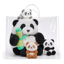 Load image into Gallery viewer, Clear Gift Bag
